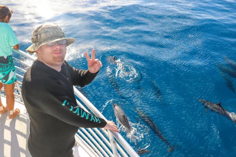 Swim with Dolphins in Oahu - Dolphins & You