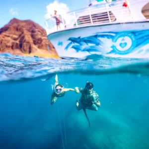 Swim with Dolphins in Oahu - Dolphins & You