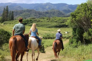 GunStock Ranch - 1 Hour Scenic Horseback Ride