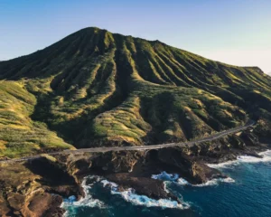 Oahu Circle Island Tour - Dolphins & You