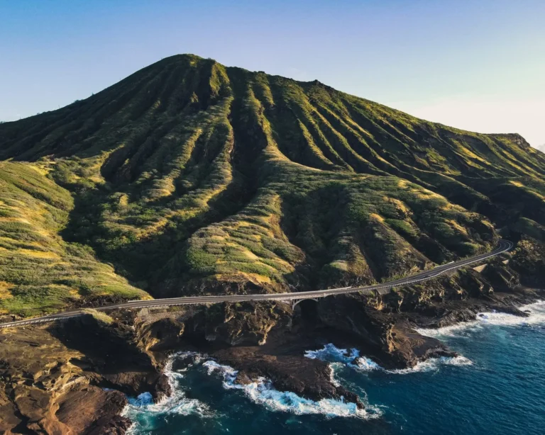 Oahu Circle Island Tour - Dolphins & You