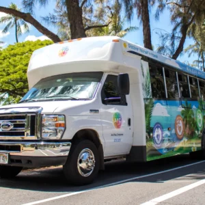 Oahu Circle Island Tour - Dolphins & You