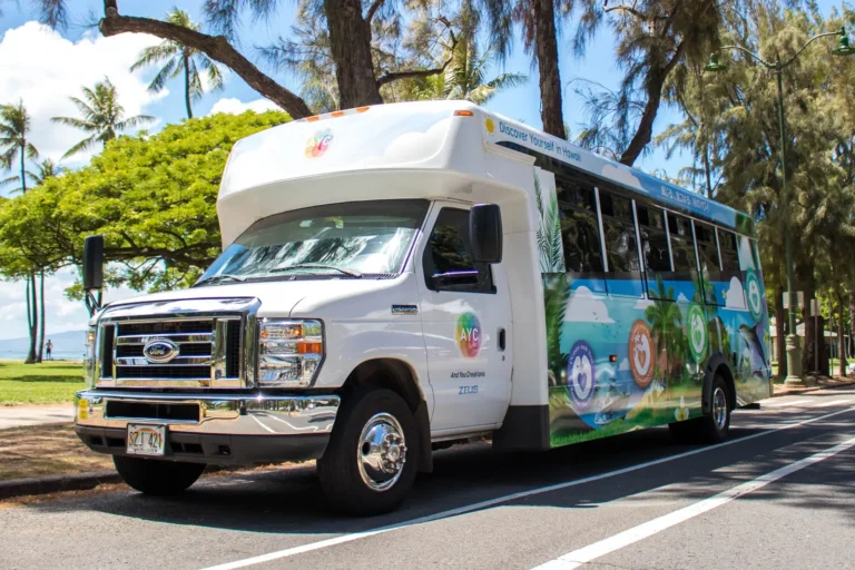 Oahu Circle Island Tour - Dolphins & You