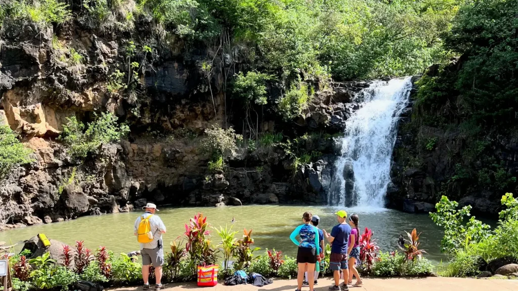 Waimea Waterfall Hike Tour