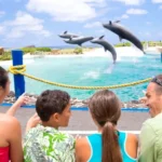 Things to Do in Oahu with Kids: Family Tours by Age