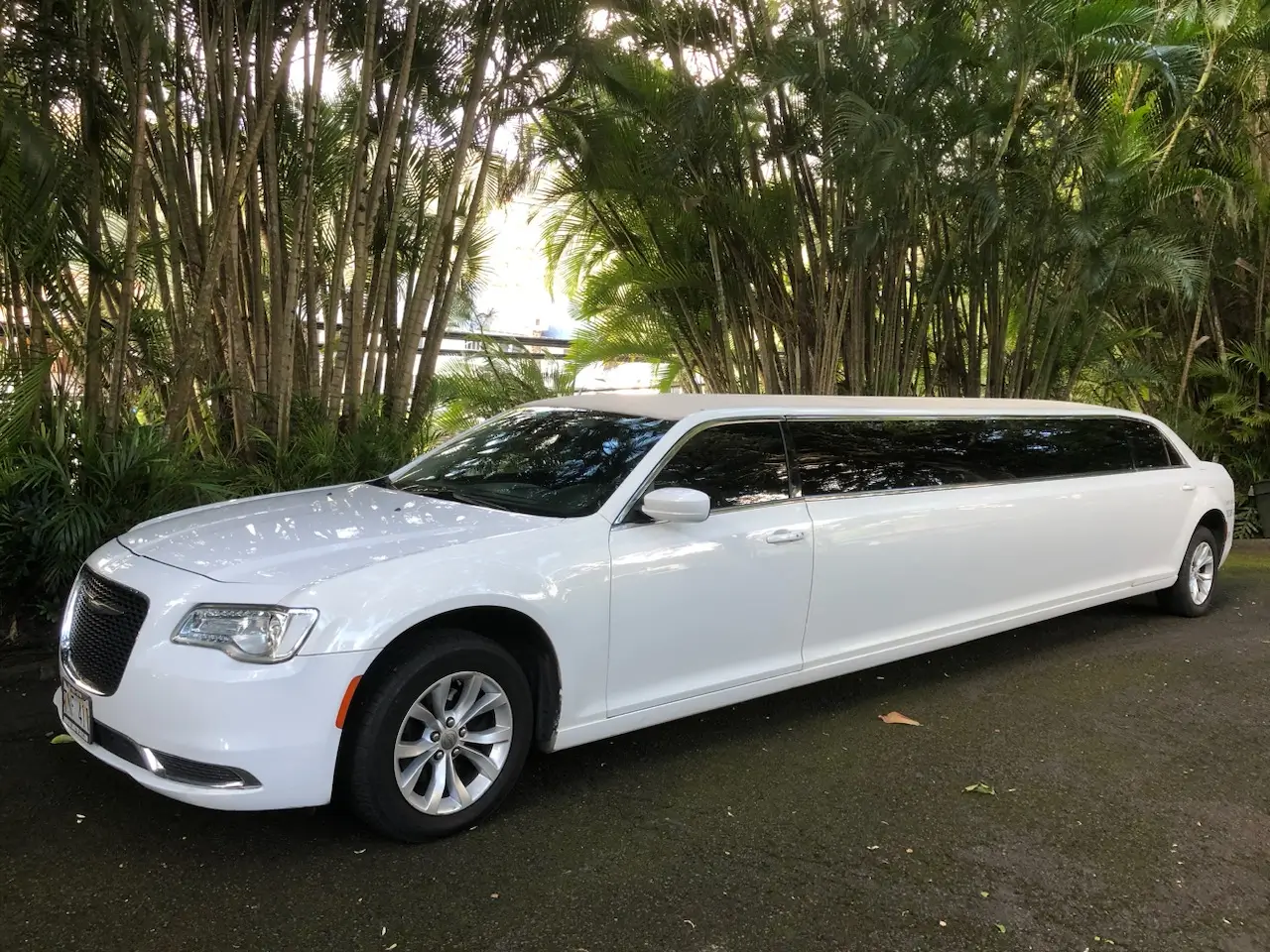Chang Limousine