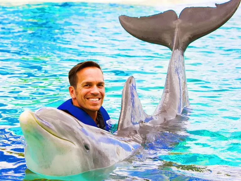 Sea Life Park - Dolphin Exploration