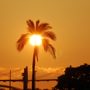 Ocean Joy Cruises - Oahu Ko Olina Sunset Snorkel Dinner Cruise