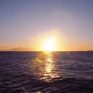 Star of Honolulu - Oahu Pacific Star Sunset Buffet & Show