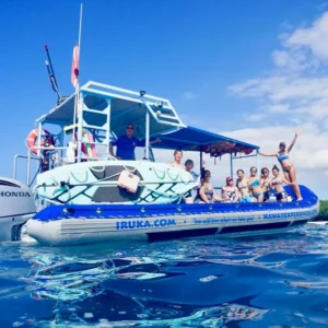 Iruka Oahu Hawaii Dolphin Tours - Oahu Speed Boat Dolphin Swim & Snorkel