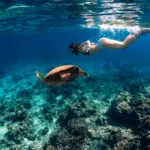 Hawaii Snorkeling Tours Oahu: The Ultimate Guide to Turtle Canyon, Kaneohe Sandbar & Waikiki Snorkel Adventures