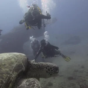 Island Divers - Oahu 3 Tank Dives Certified Dives