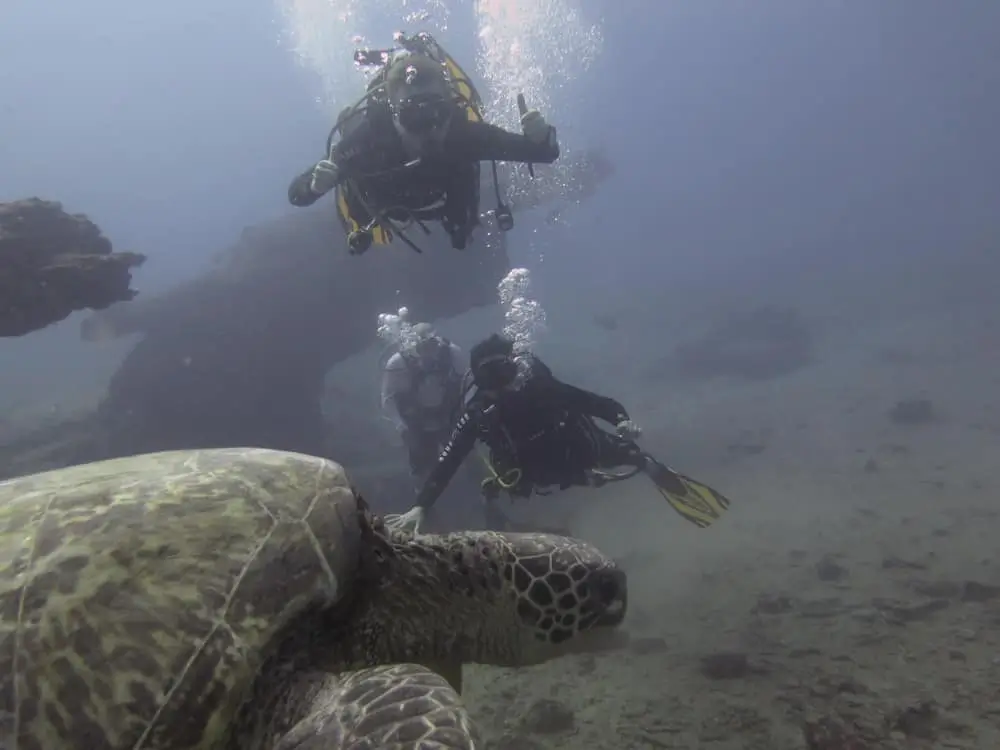 Island Divers - Oahu 3 Tank Dives Certified Dives