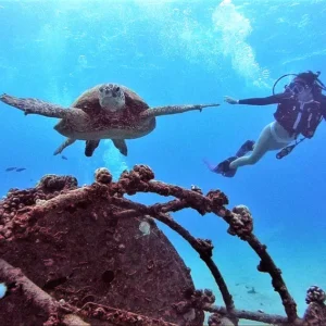 Trident Adventures Hawaii 2-Tank Reef & Wreck Dive Oahu