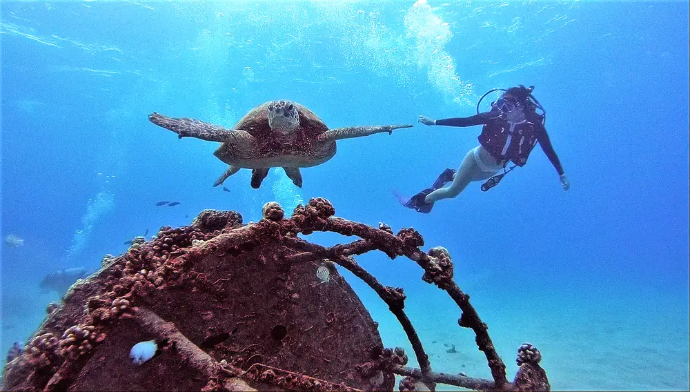 Trident Adventures Hawaii 2-Tank Reef & Wreck Dive Oahu