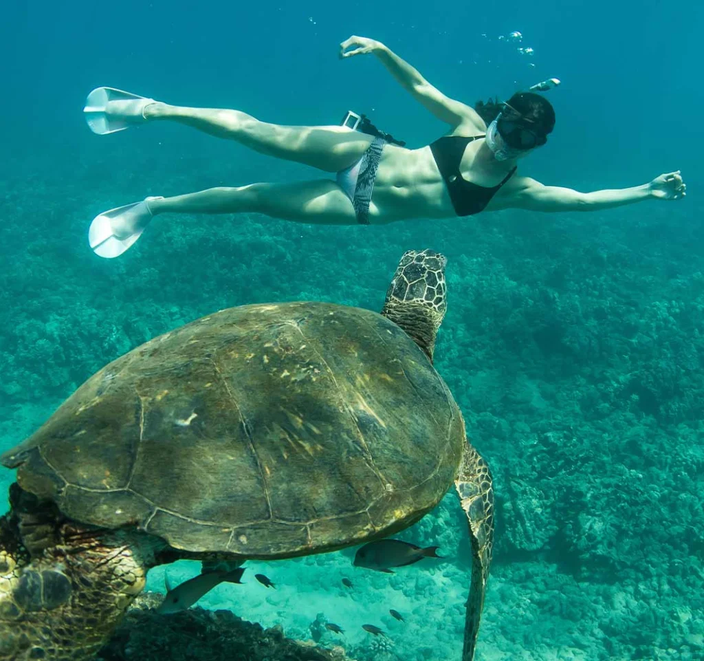 Trident Adventures Hawaii 2 Tank Shallow Reef Dive Oahu 1